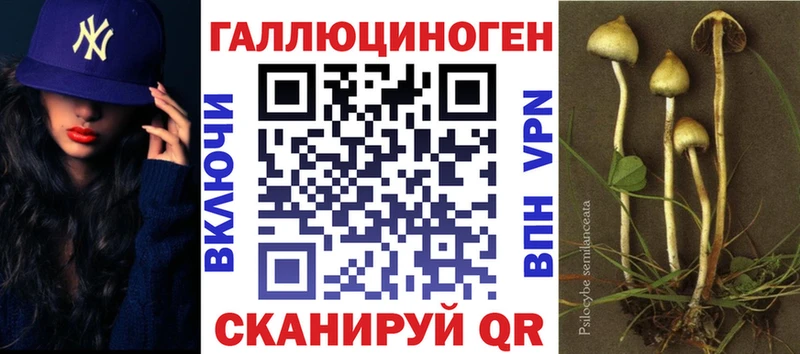 shop состав  мега ссылка  Ленинградская  хочу наркоту  Псилоцибиновые грибы ЛСД 